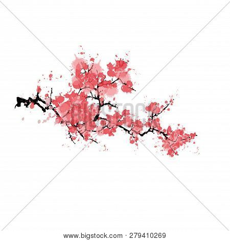 Abstract Sakura Blossom Isolated On White Background.