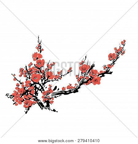 Realistic Sakura Blossom Isolated On White Background.