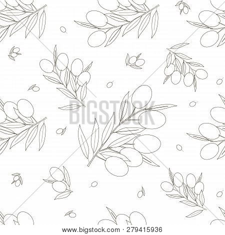 Seamless Monochrome Olive, Leaves, Branch Pattern Design Element Stock Vector Illustration For Web, 