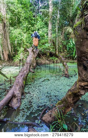 Tourists In A Jungle Of Madidi National Park, Bolivia