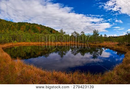 image from Tinovul Mohos - a volcano, botanical reservation with various rare plants next to Sf. Ana Lake, Romania