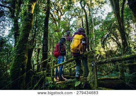 Couples Traveling, Relax In Winter.enjoy Hiking Walking Travel To Study Nature In The Rainforest. At