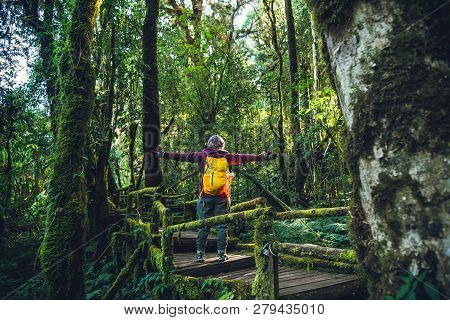 Asian Woman Travel To Study Nature In The Rainforest. Walking On A Bridge With Many Beautiful Green