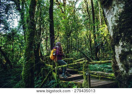 Young Travel To Study Nature In The Rainforest. Sitting On A Bridge With Beautiful Green Moss At The