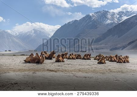 Hunder Sand Dunes With Daylight And Clear Sky