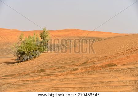 Pink Rock, Sharjah Desert Area, One Of The Most Visited Places For Off-roading, Dune Bashing And Adv