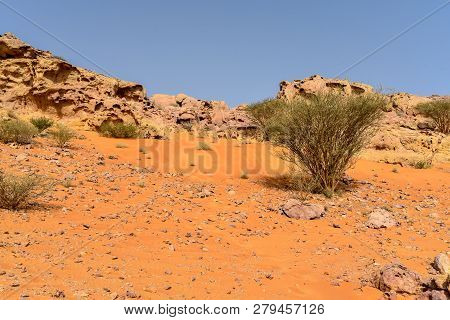Pink Rock, Sharjah Desert Area, One Of The Most Visited Places For Off-roading, Dune Bashing And Adv