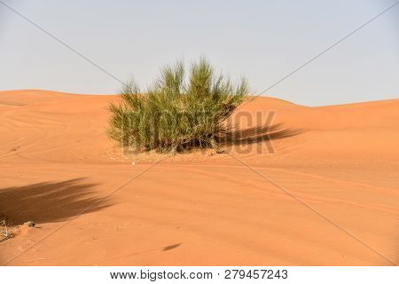 Pink Rock, Sharjah Desert Area, One Of The Most Visited Places For Off-roading, Dune Bashing And Adv