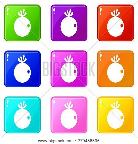 Feijoa Fruit Icons Of 9 Color Set Isolated Illustration