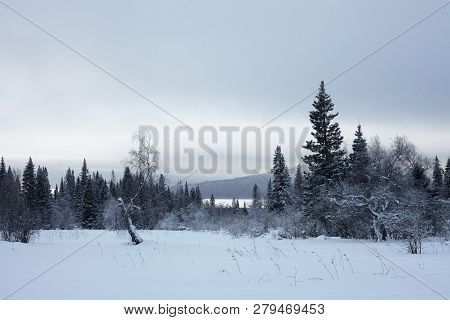 Fairy Winter Forest In Zyuratkul National Park.