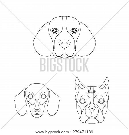 Vector Illustration Of Cute And Puppy Icon. Set Of Cute And Animal Stock Vector Illustration.
