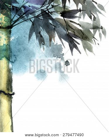 Watercolor And Ink Illustration Of Bamboo With Color Watersplashes. Oriental Traditional Painting In