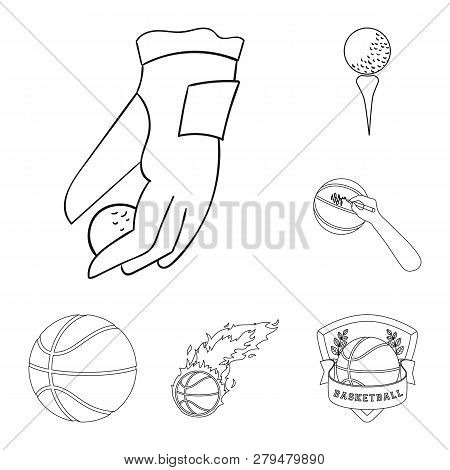 Vector Design Of Ball And Soccer Sign. Set Of Ball And Basketball Vector Icon For Stock.