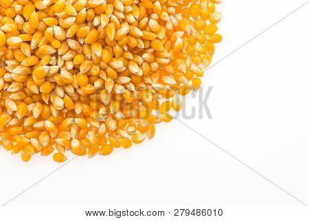 Corn Cob Seed Isolated On White Background
