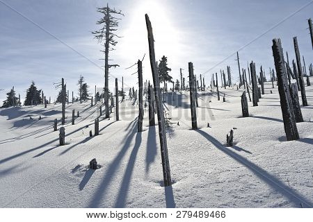 Mountain Winter Landscape In The Giant Mountains In Poland