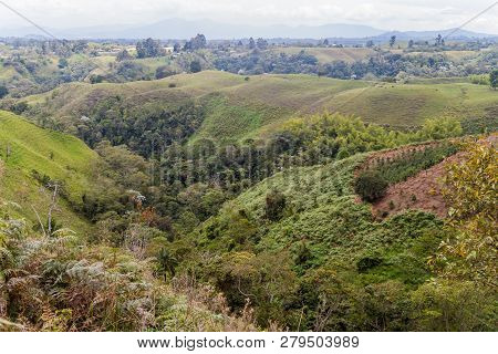 View Over The Coffee Growing Region Of Colombia
