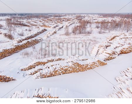 Log Storage Forest, Winter Logging, Sawmill, Top View, Aerial Photo