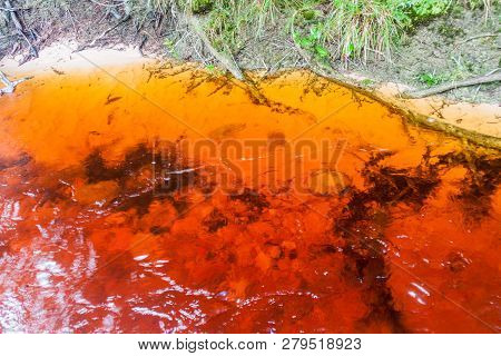 Red Colored Water Of Churun River In National Park Canaima, Venezuela.