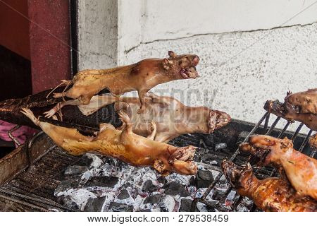 Roasted Guinea Pigs On A Market In Banos De Agua Santa, Popular Tourist Destination In Ecuador
