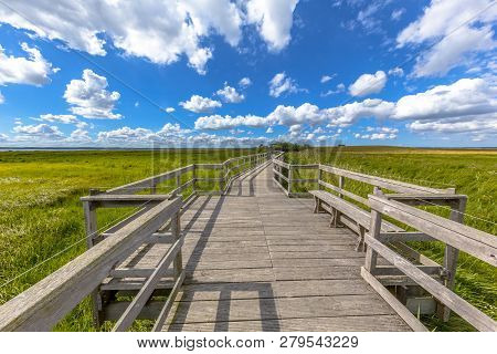 Wooden Boardwalk With Seats In A Marshland Nature Reserve In Sweden
