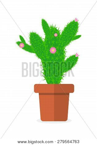 Vector Drawing Cactus In A Flower Pot