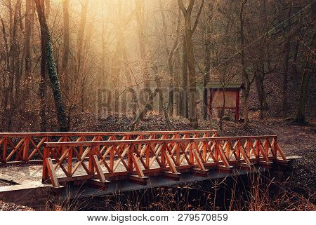 Bridge In Sunny Autumn Forest Over The Stream