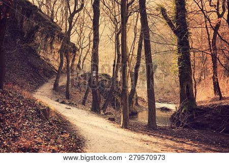 Footpath On Autumn Forest And Flowing Stream
