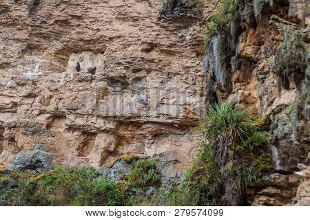 Sarcophagi Of Karajia, Funerary Site Of Chachapoyas Culture In Northern Peru