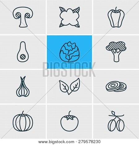 Vector Illustration Of 12 Vegetables Icons Line Style. Editable Set Of Olives, Cole, Bulgarian Bell 