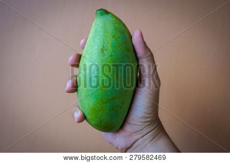 Woman Holding A Mango In Her Hand.mangoes Contain High Level Of Vitamin C, Fibre And Pectin Making I
