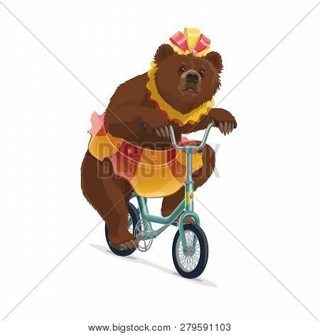 Bear In Costume On Bicycle From Big Top Circus Show. Isolated Vector Trained Wild Animal With Bow In