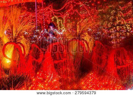 Red Yellow Christmas Lights Grasses Abstract Van Dusen Garden Vancouver British Columbia Canada