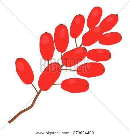 Sumac Icon. Cartoon Illustration Of Sumac Icon For Web