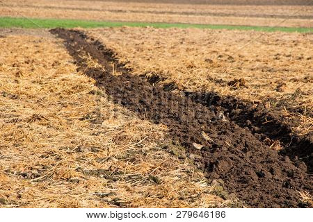 The Field Fertilized By Manure Is Re-plowed By A Tractor Plow