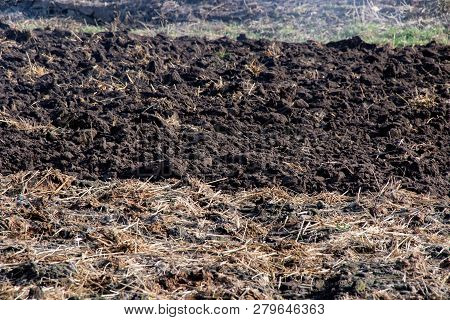 Pile Of Fresh Animal Manure On Field Preparetion For Planting Vegetables
