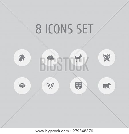 Set Of 8 Animal Icons Set. Collection Of Owl, Panda, Bear Elements.