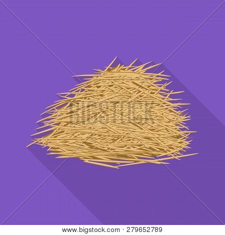 Vector Design Of Sugarcane And Cane Logo. Set Of Sugarcane And Field Stock Symbol For Web.