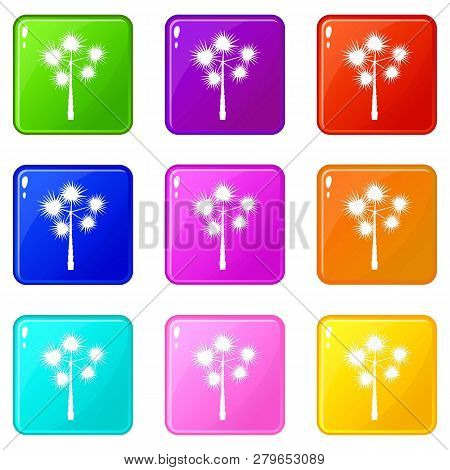 Palm Chamaerops Icons Of 9 Color Set Isolated Illustration
