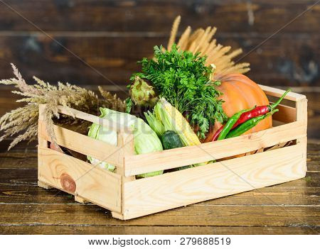 Buy Fresh Homegrown Vegetables. Just From Garden. Delivery Service Fresh Vegetables From Farm. Box O