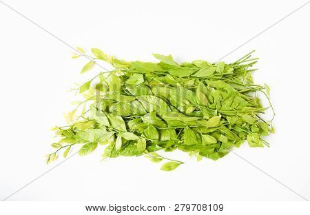 Vegetable ,  Top View Fresh Youn Leves  Melientha Suavis Pierre. Melientha Is A Genus Of Plants In T