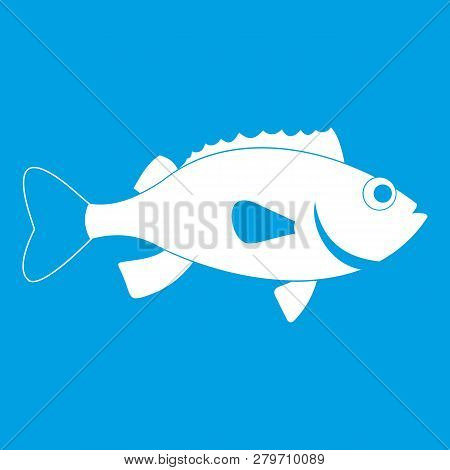 Sea Bass Fish Icon White Isolated On Blue Background Illustration