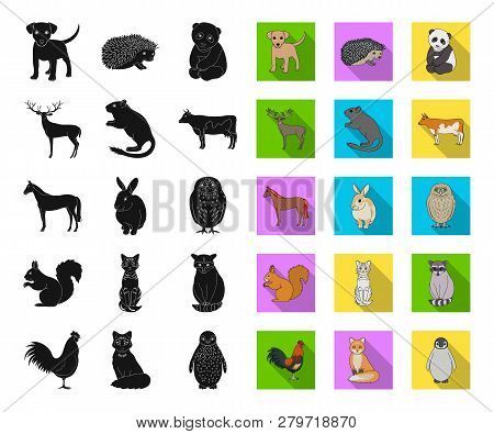 Realistic Animals Black, Flat Icons In Set Collection For Design. Wild And Domestic Animals Vector S
