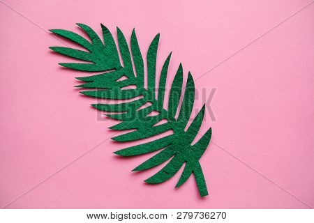 Fern Leaf On A Pink Background In Minimal Style