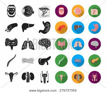 Internal Organs Of A Human Black, Flat Icons In Set Collection For Design. Anatomy And Medicine Vect