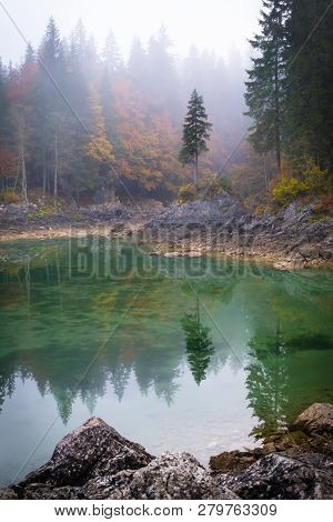 This Magical Tree On Lake Laghi Di Fusine With Nice Reflections On Water On A Foggy Morning In Autum