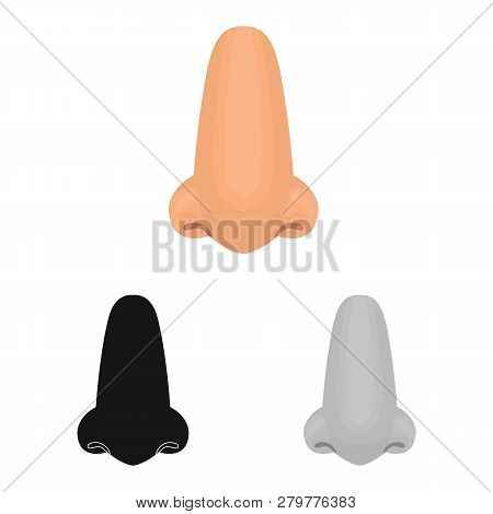 Vector Illustration Of Body And Part Symbol. Collection Of Body And Anatomy Stock Vector Illustratio