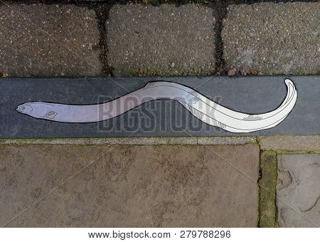 Decorative Eel Set In The Pavement Of A Beverley Street Representing Medieval Local Trading