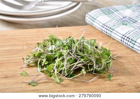 A Mound Of Fresh Sprouted Micro-greens Drying On A Cutting Board