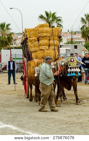 Almayate, Spain - April 21, 2018 Traditional Andalusian Contest Based On The Presentation Of The Abi