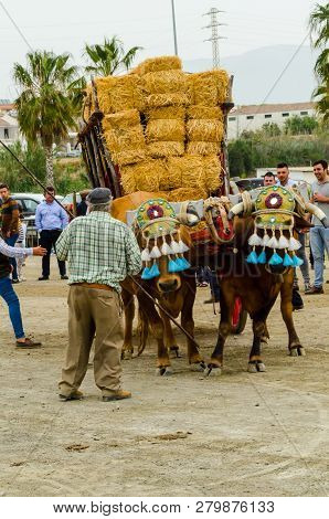 Almayate, Spain - April 21, 2018 Traditional Andalusian Contest Based On The Presentation Of The Abi